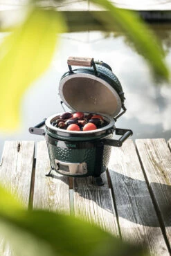 Big Green Egg Mini Solo -Keuken Grill Verkoop 2024 big green egg mini solo 3