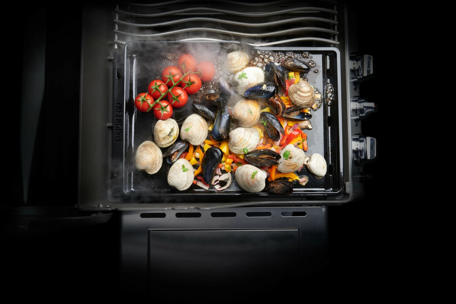 Napoleon Plancha 4 Napoleon Plancha - Afbeelding 2