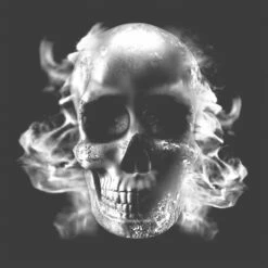 Skulls Doodskop Briketten 3 Stuks